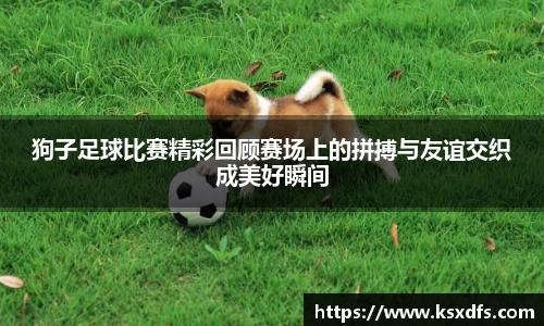 leyu.com.乐鱼官方